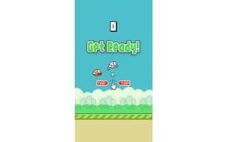 Aparelhos com Flappy Bird instalado são oferecidos por até US$ 100 mil -  Canaltech