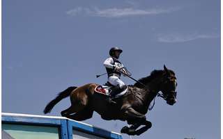 Cavalo sofre lesão durante prova dos Jogos Olímpicos e é