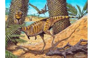 Dinossauro Berthasaura leopoldinae