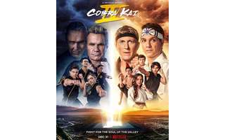 Cobra Kai leva a rivalidade de Karatê Kid para os games; veja o trailer -  Canaltech