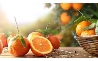 Benefícios da laranja