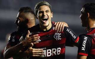 Pedro celebra gol diante do Santos (Foto: Gilvan de Souza/Flamengo)