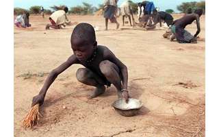 ONU:Fome afetou mais de 700 milhões de pessoas no mundo em 2021