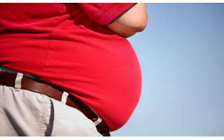 Is obesity a disease?  Understanding the science point of view on the subject