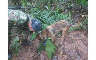 The rescues were carried out by military personnel in Colombia