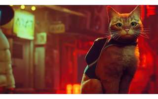 Stray, jogo de um gato que se passa numa cidade Cyberpunk, pode ter  ganhando sua data de lançamento