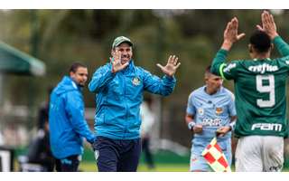 Sub-15 e Sub-17 do Verdão encaram Ponte Preta e Grêmio Prudente pelo  Paulista – Palmeiras