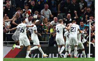 Torcida do Luton Town leva cachorro para assistir o jogo contra o Tottenham  : r/futebol