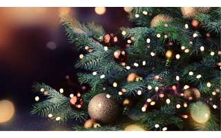 Qual o dia certo para montar a árvore de Natal em 2023? - NSC Total