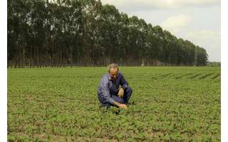 Invaldo Weis adotou o método ILPF (integração lavoura, pecuária e floresta) na Fazenda Esperanca, e tem produção de soja, gado e plantação de eucalipto Invaldo Weis adotou o método ILPF (integração lavoura, pecuária e floresta) na Fazenda Esperanca, e tem produção de soja, gado e plantação de eucalipto
