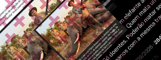 Imagem de Flávio Bolsonaro com elefante morto foi gerada com IA