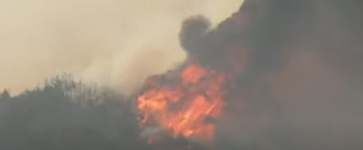 Incêndios florestais atingem sudeste da Coreia do Sul