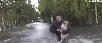 O jornalista argentino Alejandro Pueblas, do canal A24, interrompeu uma transmissão ao vivo para salvar um cachorro