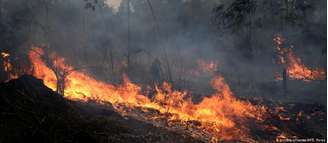 Queimada na Floresta Nacional de Jacundá, em Porto Velho, em foto de 26 de agosto