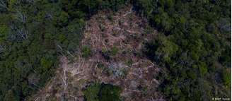 Área desmatada no interior da unidade de conservação Floresta Nacional do Bom Futuro, em Porto Velho