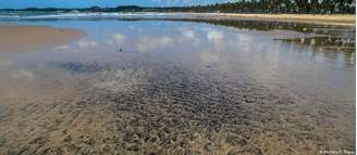 Mancha de óleo em uma praia de Pernambuco