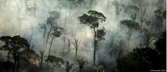 Cerca de 4.5 mil km2 de Floresta Amazônica desmatados estão prontos para serem queimados