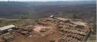 O desmatamento na Amazônia brasileira aumentou pelo 14º mês consecutivo em junho.