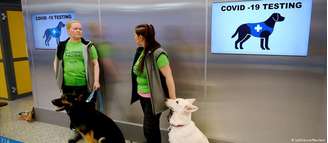 No aeroporto de Helsinque, quatro cães se revezam para farejar os passageiros