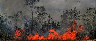 Onde a floresta já foi mais de 30% devastada, a emissão de carbono chega a ser dez vezes maior do que onde desmatamento é inferior a 20%