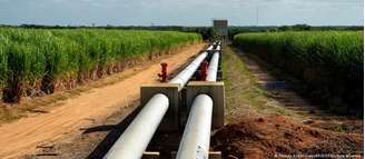 Plantação de cana-de-açúcar em Juazeiro, na Bahia