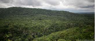 A Floresta Amazônica na região de Guaviare, onde ocorreu o acidente com o avião monomotor