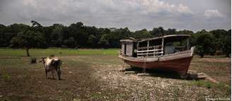 Se o desmatamento ultrapassar 20 a 25% e a temperatura global aumentar 2,5°, degradação extrema da Amazônia se torna irreversível.</p><p>