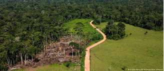 Área desmatada na Amazônia