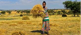Agricultores da Etiópia cultivam o grão Eragrostis tef há milhares de anos. No entanto uma companhia holandesa detém a patente sobre o cereal processado