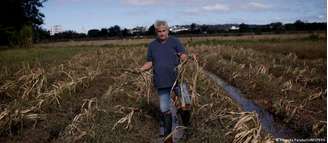 Agricultor exibe colheita de milho perdida nas enchentes que atingiram o Rio Grande do Sul