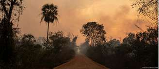 Desmatamento é um dos agravantes para o fogo