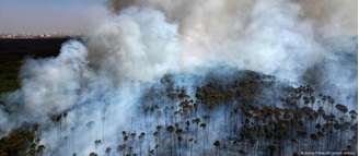 Floresta Nacional de Brasília foi uma das regiões devastadas pelos incêndios que se espalham pelo País.