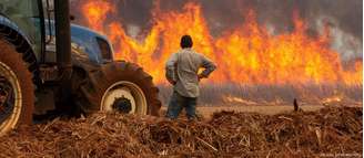 Brasil enfrenta grandes incêndios neste ano impulsiona em parte por seca histórica