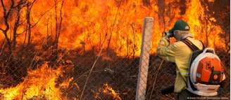 Incêndios de grandes proporções foram os maiores responsáveis pela perda de florestas primárias 2024