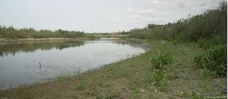 Ecossistema se recupera nos terrenos da antiga hidrelétrica