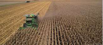 Fungo apreendido nos EUA com pesquisadores chineses é capaz de destruir colheitas inteiras e prejudicar tanto animais quanto seres humanos