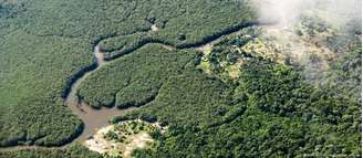 Fundo Florestas Tropicais para Sempre visa recompensar países que mantêm suas florestas de pé