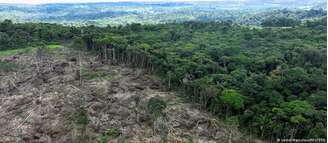 Lei querer barrar entrada na UE de produtos oriundos de regiões desmatadas 