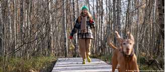 Cachorros são conhecidos por salvar donos de situações perigosas