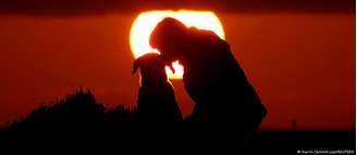 Pesquisadores descobriram que a companhia pode ter sido uma das principais funções dos cães, mesmo nos tempos antigos