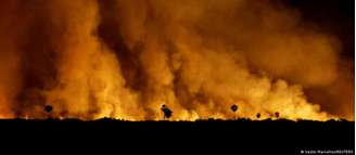 Fogo no Pantanal: incêndios cada vez mais frequentes ameaçam biomas brasileiros