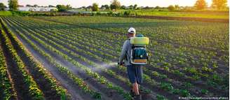 A Comissão Europeia quer ampliar os prazos de autorização de pesticidas para reduzir burocracias