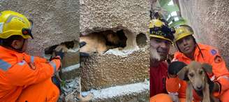 Montagem mostra bombeiros ajudando no resgate de cão na cidade de Betim (MG)