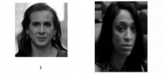 Duda Salabert e Erika Hilton em álbum fotográfico de suspeitos usado pela polícia em Pernambuco