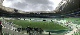 Palmeiras fez o primeiro teste no gramado sintético do Allianz Parque, nesta quarta (Foto: Thiago Ferri)
