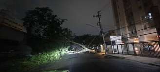 Fortes chuvas e ventania também provocam queda de árvores na cidade de São Paulo. Na foto, ocorrência na Rua Dom Armando Lombardi, 470.