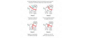 passo a passo do telling touch, técnica para cachorro com medo de fogos