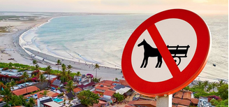 Jericoacoara e Cair proibiram o uso de veículo de tração animal