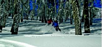 Turmas e famílias movimentam o Cerro Chapelco.