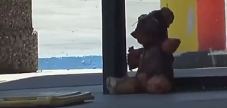 Ursinho feito como 'pele humana fake' provoca pânico e vira caso de polícia em Victorville, nos EUA